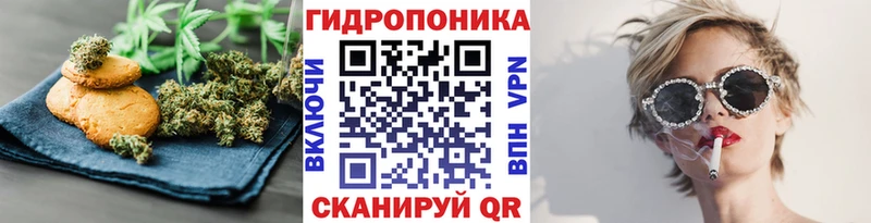 где найти   Харовск  Canna-Cookies конопля 