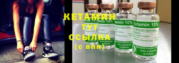 крисы Наволоки