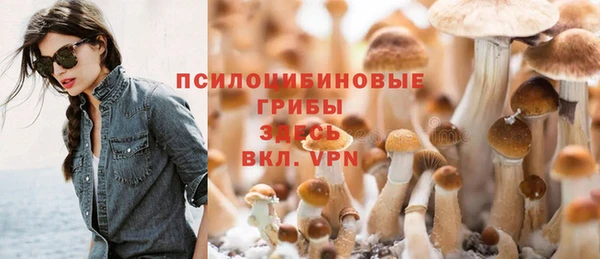 крисы Наволоки
