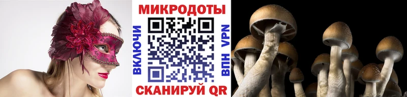 Галлюциногенные грибы Psilocybe  МЕГА рабочий сайт  Харовск 